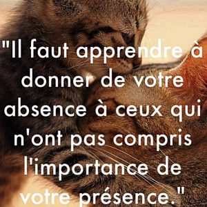 « Il faut apprendre à donner de votre absence à ceux qui n’ont pas compris l’importance de votre présence. »
