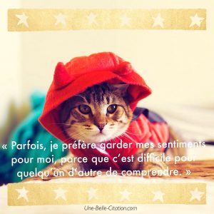 « Parfois, je préfère garder mes sentiments pour moi, parce que c’est difficile pour quelqu’un d’autre de comprendre. »