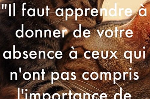 « Il faut apprendre à donner de votre absence à ceux qui n’ont pas compris l’importance de votre présence. »