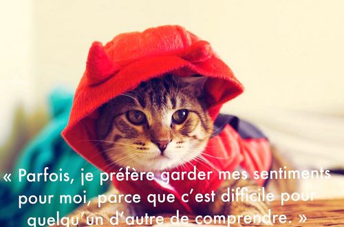 « Parfois, je préfère garder mes sentiments pour moi, parce que c’est difficile pour quelqu’un d’autre de comprendre. »