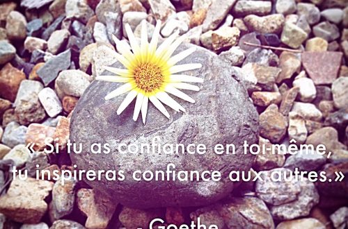 Si tu as confiance en toi-même, tu inspireras confiance aux autres.