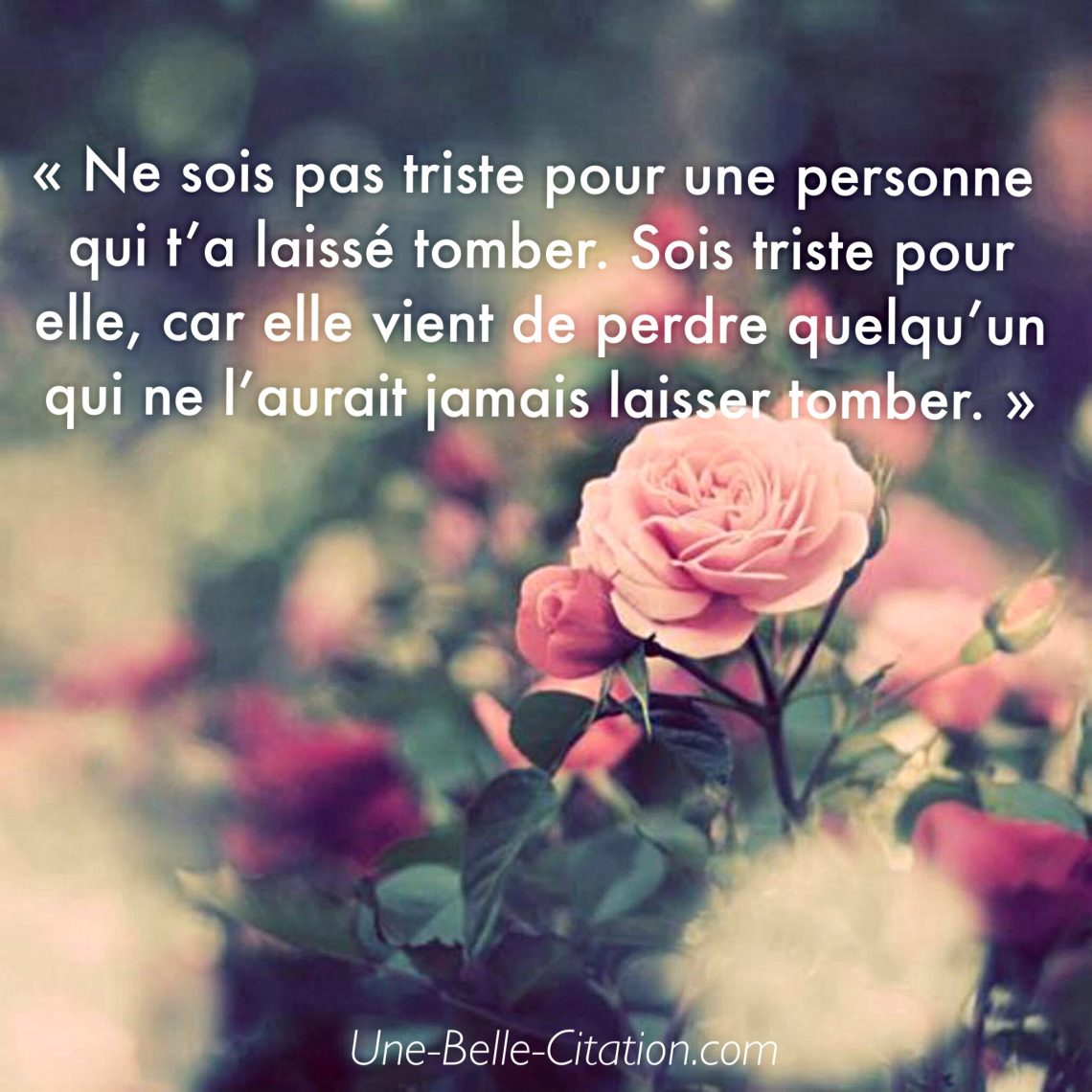 Ne sois pas triste pour une personne qui t’a laissé tomber. Sois triste pour elle, car elle vient de perdre quelqu’un qui ne l’aurait jamais laisser tomber