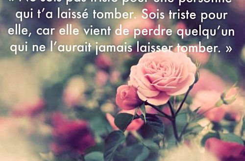 Ne sois pas triste pour une personne qui t’a laissé tomber. Sois triste pour elle, car elle vient de perdre quelqu’un qui ne l’aurait jamais laisser tomber