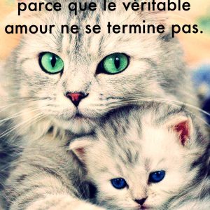 « L’amour n’a pas de fin heureuse parce que le véritable amour ne se termine pas. »