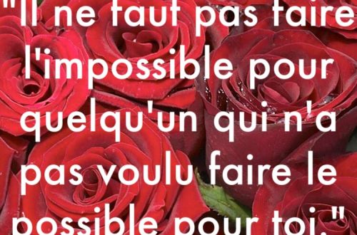 « Il ne faut pas faire l’impossible pour quelqu’un qui n’a pas voulu faire le possible pour toi. »