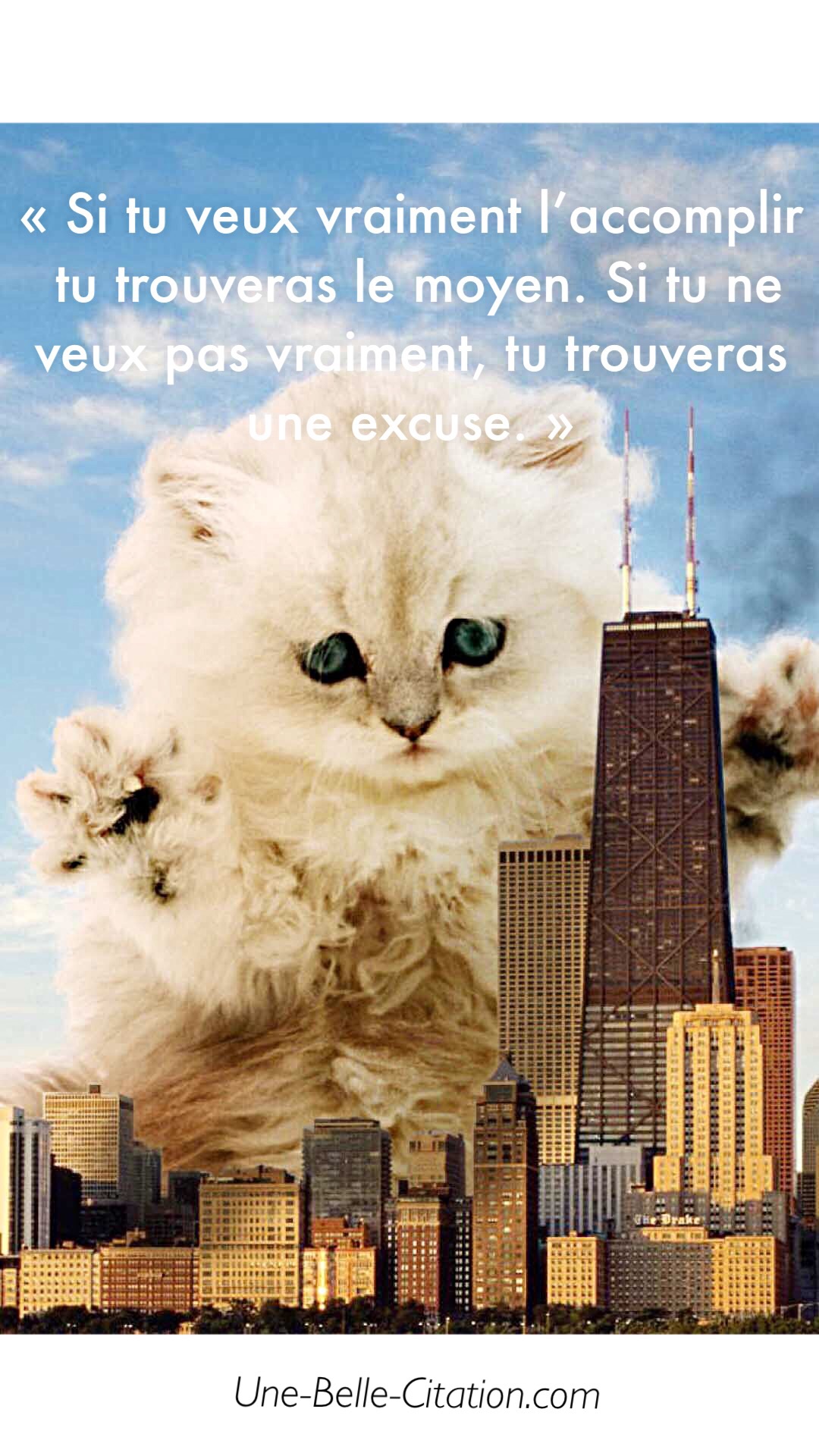 « Si tu veux vraiment l’accomplir tu trouveras le moyen. Si tu ne veux pas vraiment, tu trouveras une excuse. »