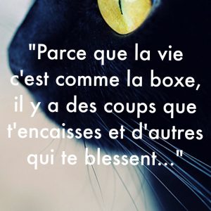« Parce que la vie c’est comme la boxe, il y a des coups que t’encaisses et d’autres qui te blessent… »