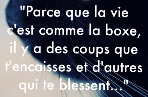 « Parce que la vie c’est comme la boxe, il y a des coups que t’encaisses et d’autres qui te blessent… »