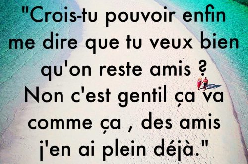 « Crois-tu pouvoir enfin me dire que tu veux bien qu’on reste amis ? Non c’est gentil ça va comme ça, des amis j’en ai plein déjà. »