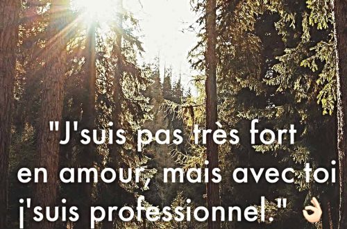 « J’suis pas très fort en amour, mais avec toi je suis professionnel. »
