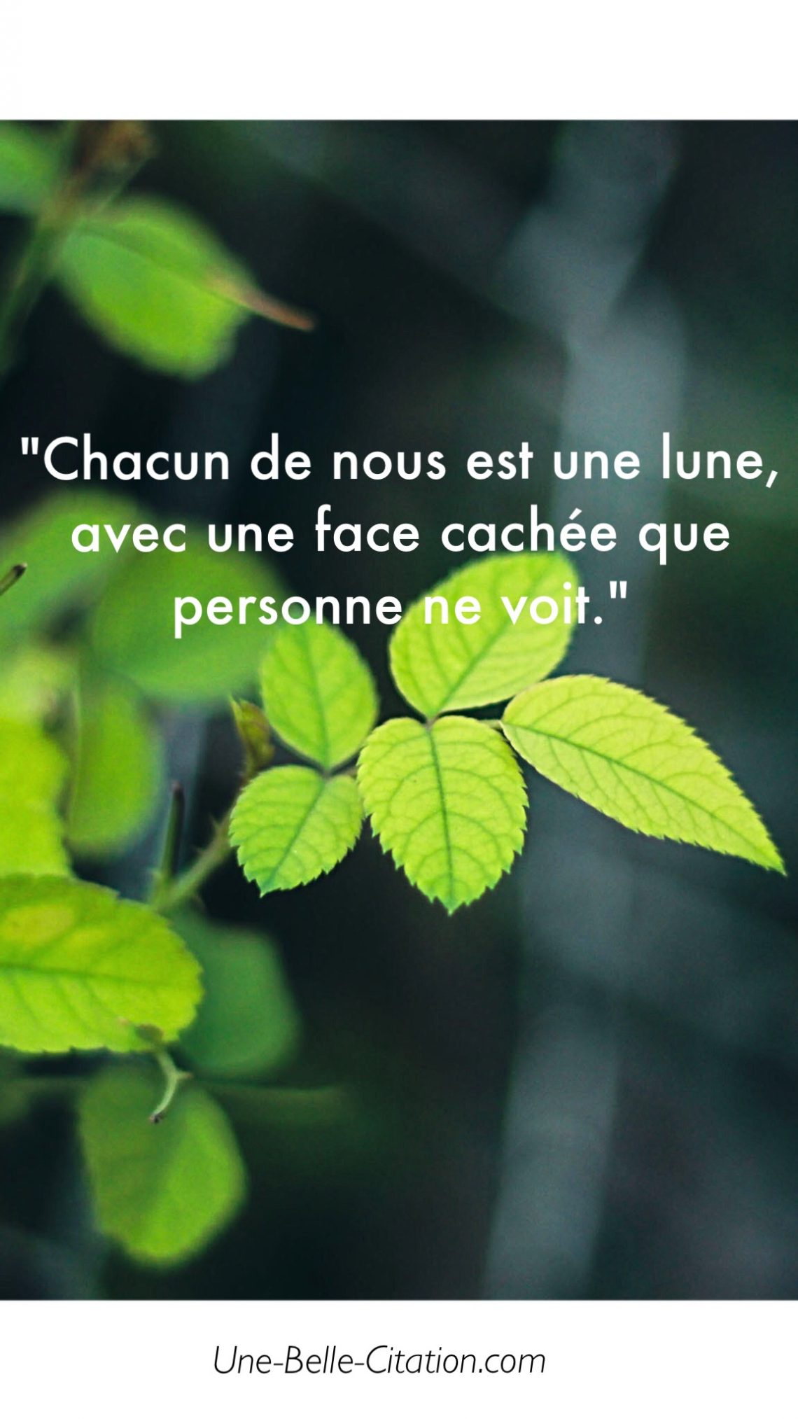 « Chacun de nous est une lune, avec une face cachée que personne ne voit. »