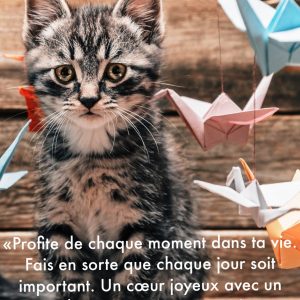 « Profite de chaque instant de ta vie. Fais en sorte que chaque jour soit important. Un cœur joyeux avec un esprit heureux amène un sentiment de paix et un bien-être gracieux. »