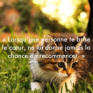 «Lorsqu’une personne te brise le cœur, ne lui donne jamais la chance de recommencer.»