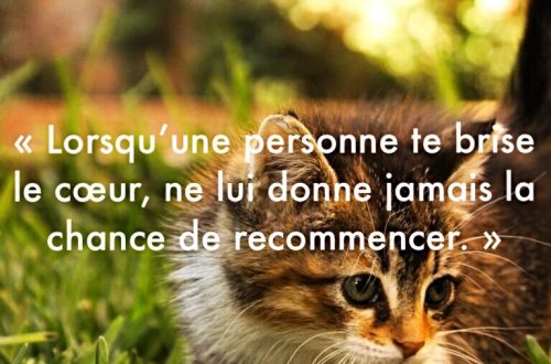 «Lorsqu’une personne te brise le cœur, ne lui donne jamais la chance de recommencer.»