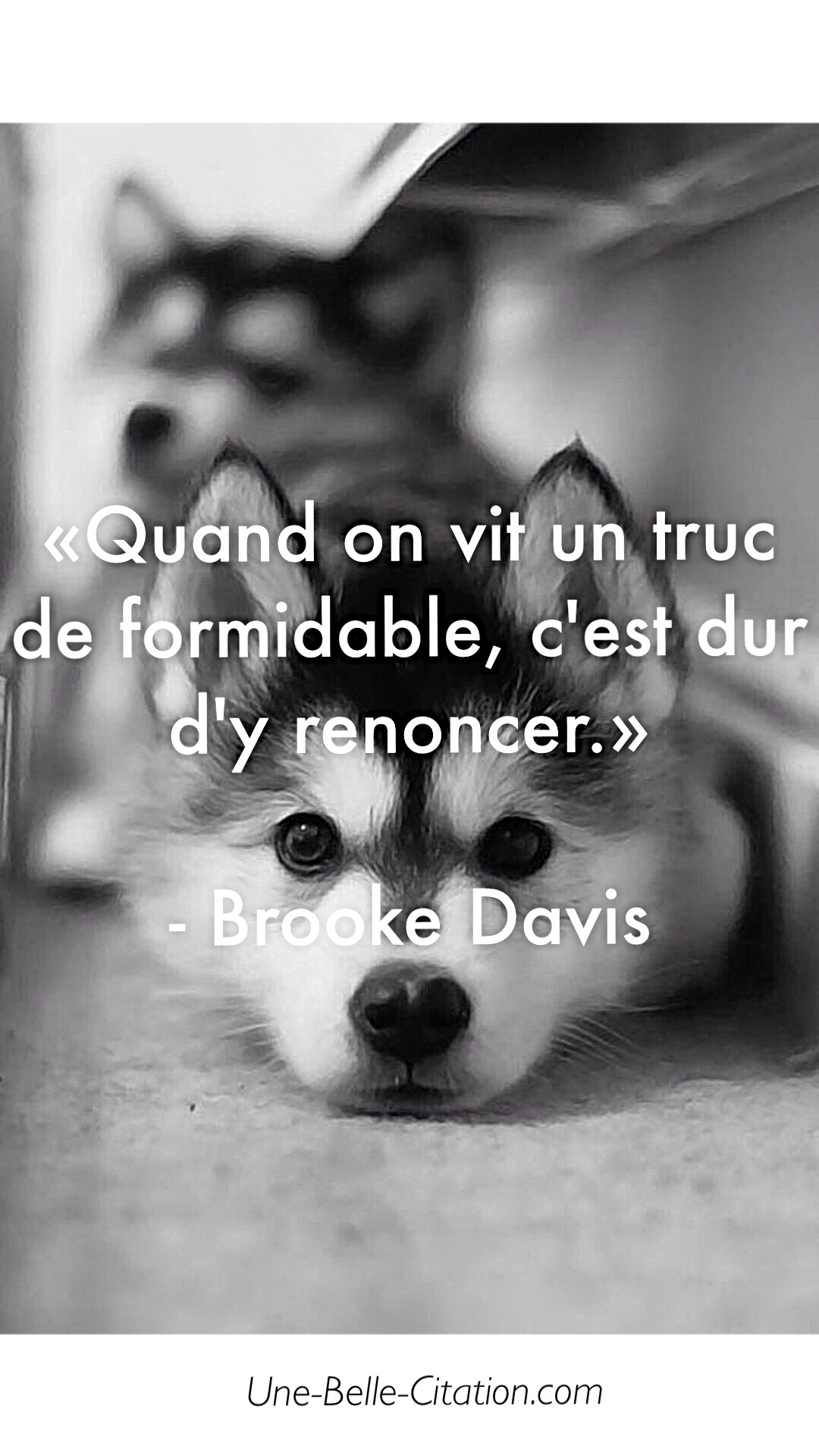 Quand on vit un truc de formidable, c'est dur d'y renoncer. - Brooke Davis