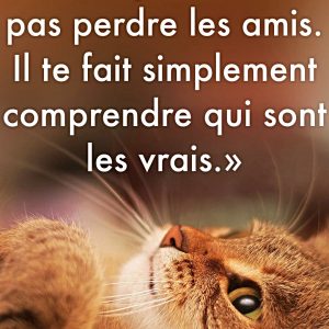 « Le temps ne te fait pas perdre les amis. Il te fait seulement comprendre qui sont les vrais. »
