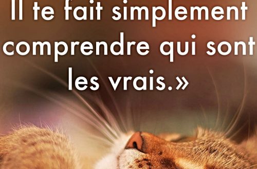 « Le temps ne te fait pas perdre les amis. Il te fait seulement comprendre qui sont les vrais. »