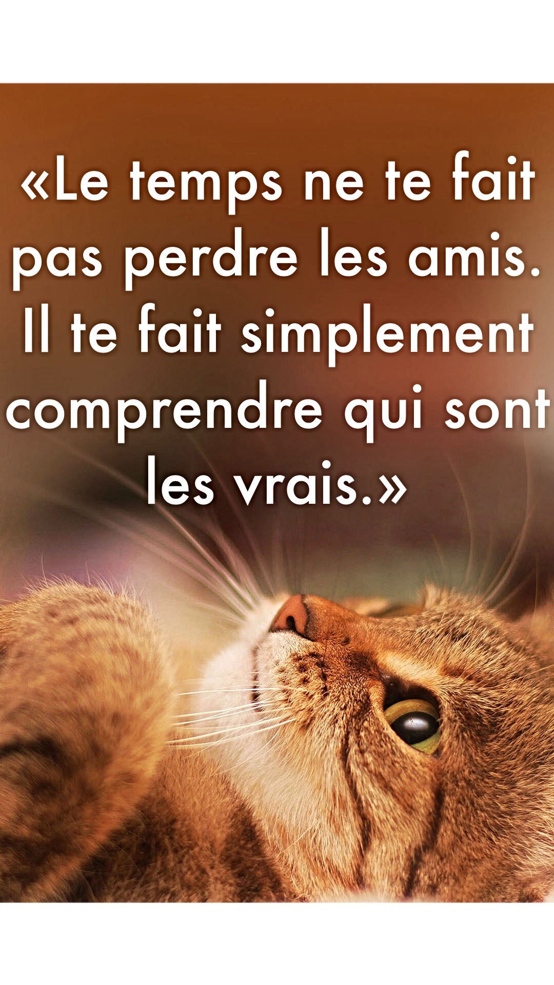 Le Temps Ne Te Fait Pas Perdre Les Amis Il Te Fait Seulement Comprendre Qui Sont Les Vrais Citations Et Proverbes Retrouver De Nombreuses Citations Proverbes