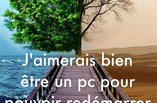 « J’aimerai bien être un PC pour pouvoir redémarrer ma vie en mode sans échec. »