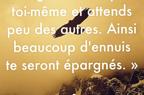 « Exige beaucoup de toi-même et attends peu des autres. Ainsi beaucoup d'ennuis te seront épargnés. »