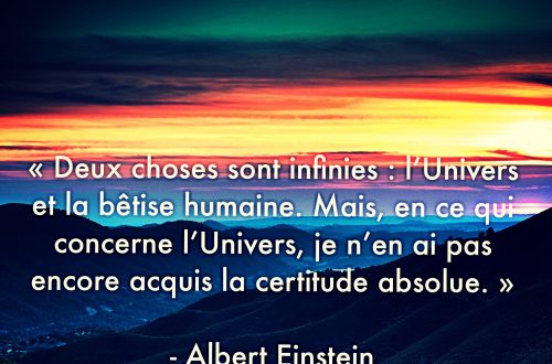 « Deux choses sont infinies : l’Univers et la bêtise humaine. Mais, en ce qui concerne l’Univers, je n’en ai pas encore acquis la certitude absolue. »