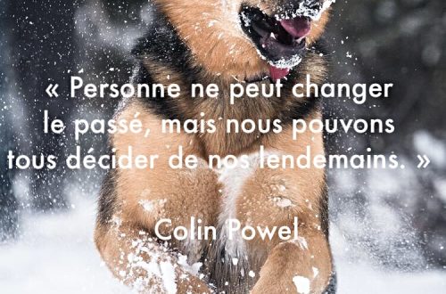 « Personne ne peut changer le passé, mais nous pouvons tous décider de nos lendemains. »