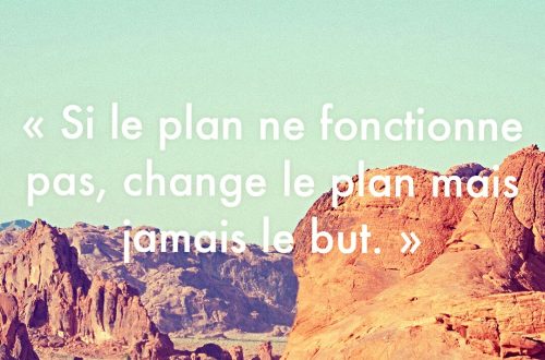 « Si le plan ne fonctionne pas, change le plan mais jamais le but. »