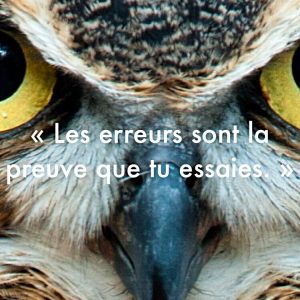 « Les erreurs sont la preuve que tu essaies. »