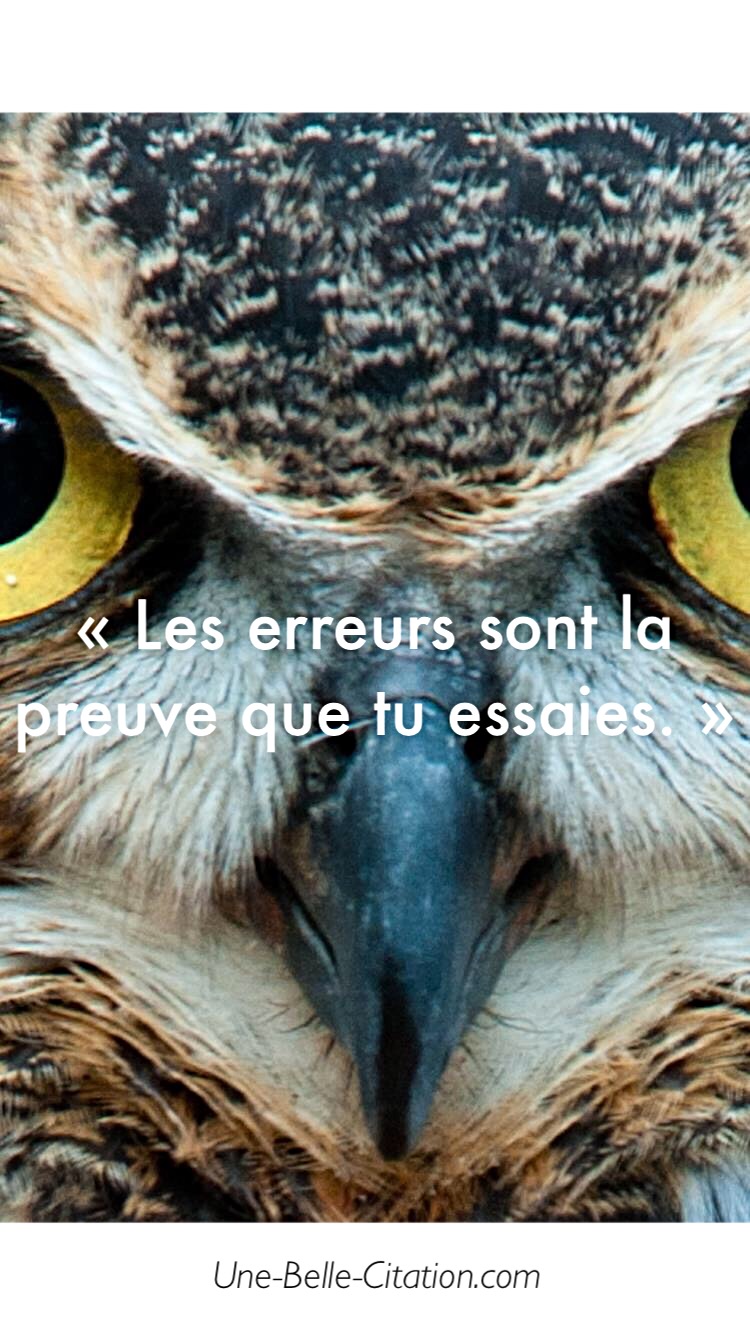 « Les erreurs sont la preuve que tu essaies. »