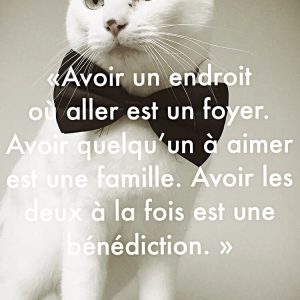 « Avoir un endroit où aller est un foyer. Avoir quelqu’un à aimer est une famille. Avoir les deux à la fois est une bénédiction. »