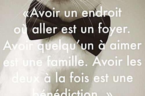 « Avoir un endroit où aller est un foyer. Avoir quelqu’un à aimer est une famille. Avoir les deux à la fois est une bénédiction. »