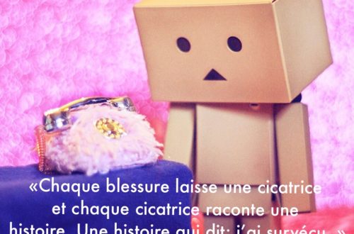 «Chaque blessure laisse une cicatrice et chaque cicatrice raconte une histoire. Une histoire qui dit: j’ai survécu»