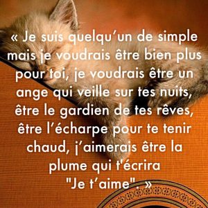 Je suis quelqu’un de simple mais je voudrais être bien plus pour toi, je voudrais être un ange qui veille sur tes nuits, être le gardien de tes rêves, être l’écharpe pour te tenir chaud, j’aimerais être la plume qui t'écrira "Je t’aime"