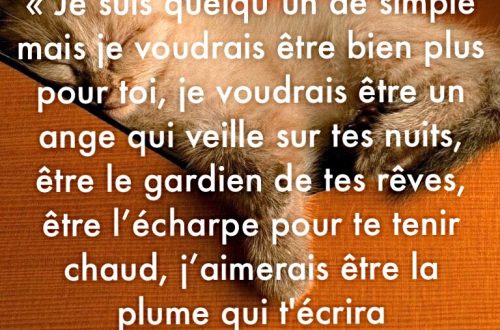 Je suis quelqu’un de simple mais je voudrais être bien plus pour toi, je voudrais être un ange qui veille sur tes nuits, être le gardien de tes rêves, être l’écharpe pour te tenir chaud, j’aimerais être la plume qui t'écrira "Je t’aime"