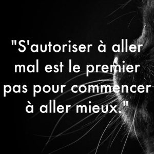 « S’autoriser à aller mal est le premier pas pour commencer à aller mieux. »