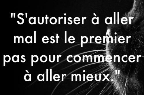 « S’autoriser à aller mal est le premier pas pour commencer à aller mieux. »