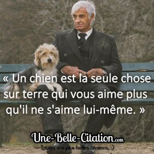 « Un chien est la seule chose sur terre qui vous aime plus qu’il ne s’aime lui-même. »