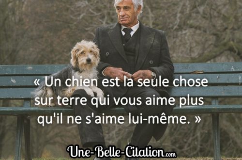 « Un chien est la seule chose sur terre qui vous aime plus qu’il ne s’aime lui-même. »