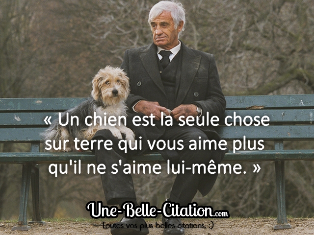 « Un chien est la seule chose sur terre qui vous aime plus qu’il ne s’aime lui-même. »