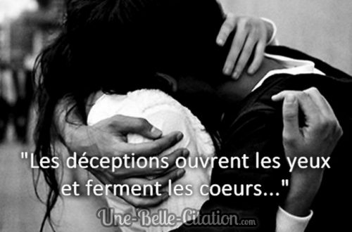 « Les déceptions ouvrent les yeux et ferment les cœurs… »