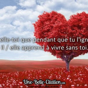 « Rappelle-toi que pendant que tu l'ignores, il / elle apprend à vivre sans toi. »