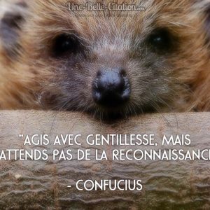 « Agis avec gentillesse, mais n’attends pas de la reconnaissance. » – Confucius