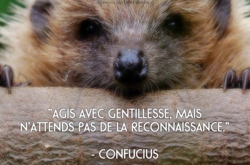 « Agis avec gentillesse, mais n’attends pas de la reconnaissance. » – Confucius
