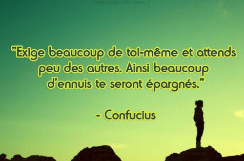« Exige beaucoup de toi-même et attends peu des autres. Ainsi beaucoup d’ennuis te seront épargnés. » – Confucius