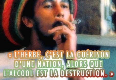 « L’herbe, c’est la guérison d’une nation, alors que l’alcool est la destruction. » – Bob Marley