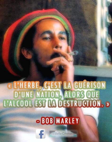 L Herbe C Est La Guerison D Une Nation Alors Que L Alcool Est La Destruction Bob Marley Citations Et Proverbes Retrouver De Nombreuses Citations Proverbes