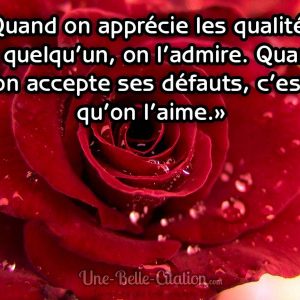 «Quand on apprécie les qualités de quelqu’un, on l’admire. Quand on accepte ses défauts, c’est qu’on l’aime.»