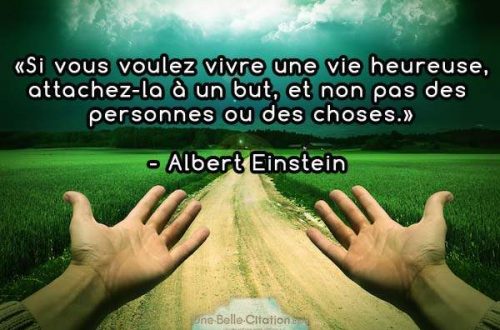 Si vous voulez vivre une vie heureuse, attachez-la à un but, et non pas à des personnes ou des choses. Albert Einstein
