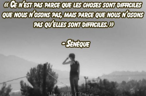 «Ce n’est pas parce que les choses sont difficiles que nous n’osons pas, mais parce que nous n’osons pas qu’elles sont difficiles.» – Sénèque