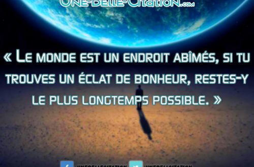 « Le monde est un endroit abîmés, si tu trouves un éclat de bonheur, restes-y le plus longtemps possible. »